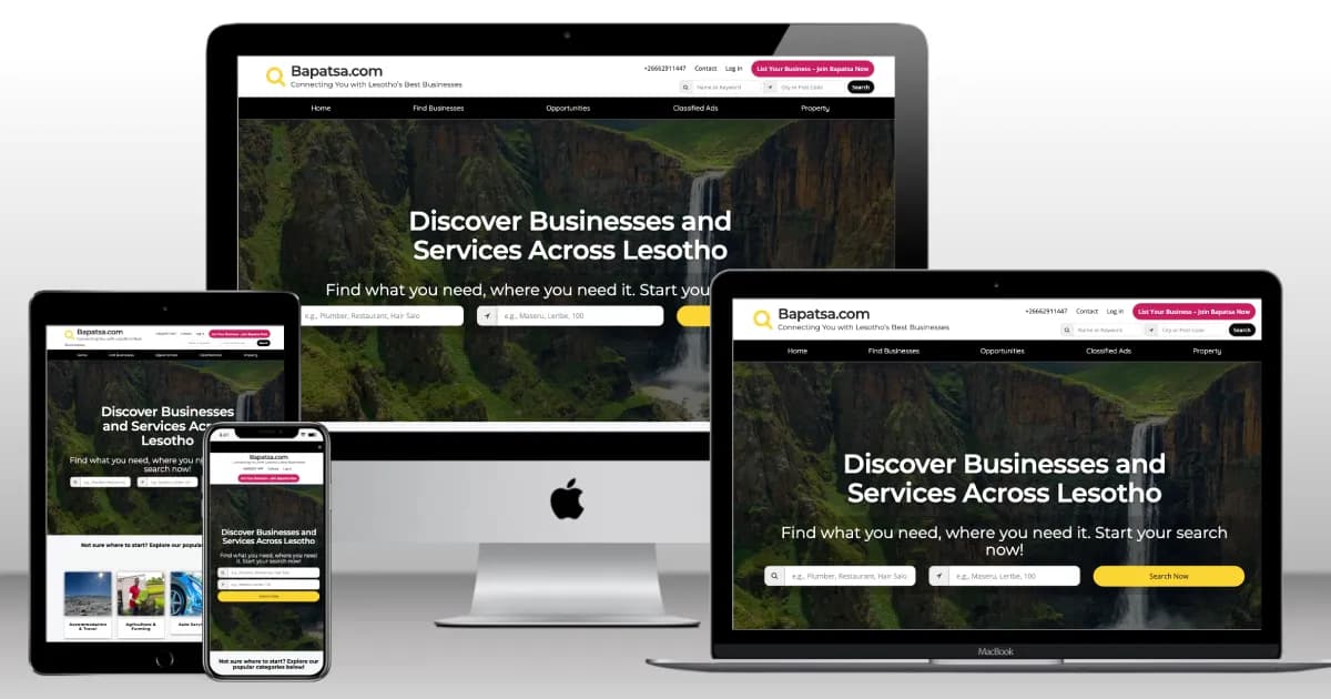 Bapatsa website preview