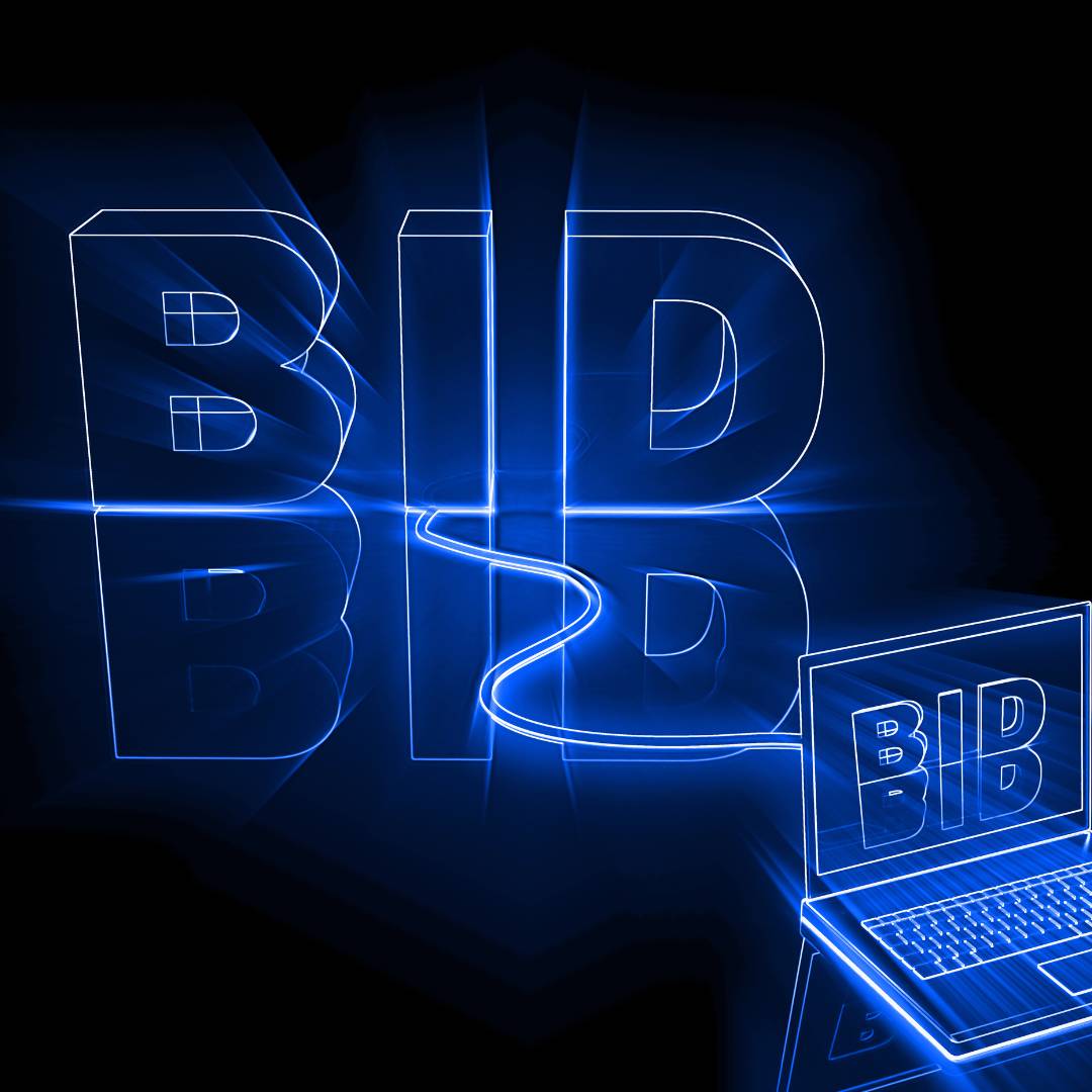 Bid to win auction website development